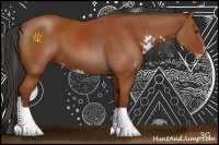 Horse Color:Bay Sabino Rabicano 