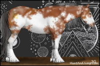 Horse Color:Bay Sabino Frame 