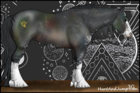 Horse Color:Brown Sabino Rabicano 