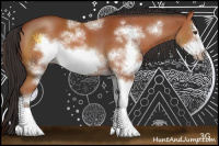 Horse Color:Bay Sabino Frame 