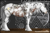 Horse Color:Brown Sabino 