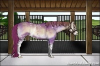 Horse Color:White Spotted Liver Red Dun Ice Onyx Sabino