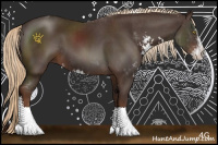 Horse Color:Liver Chestnut Sabino