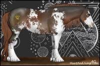 Horse Color:Liver Chestnut Sabino 