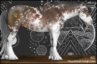 Horse Color:Bay Sabino 