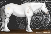 Horse Color:Bay Sabino Splash Rabicano