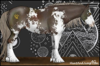 Horse Color:Liver Chestnut Sabino 