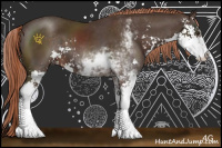 Horse Color:Liver Chestnut Sabino 