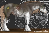 Horse Color:Liver Chestnut Sabino 