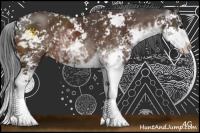 Horse Color:Bay Sabino 