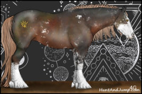 Horse Color:Liver Chestnut Sabino 