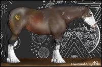 Horse Color:Bay Sabino Rabicano 