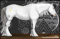 Horse Color:Bay Sabino Splash 