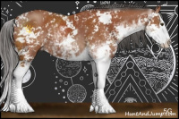 Horse Color:Bay Sabino Splash 