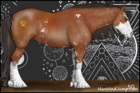 Horse Color:Brown Sabino Rabicano