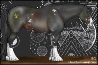 Horse Color:Brown Sabino 