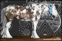 Horse Color:Brown Sabino Splash 