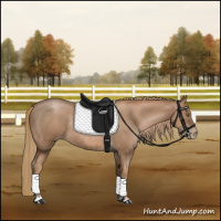 Horse Color:Liver Chestnut Pearl Rabicano and Liver Chestnut Pearl Rabicano