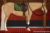 Horse Color:Palomino 