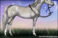 Horse Color:Platinum White Spotted Silver Brown Dun Rabicano