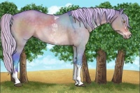 Horse Color:Watercolor Silver Brown Dun Tobiano 
