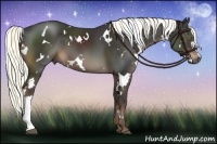 Horse Color:White Spotted Liver Chestnut Mushroom 