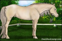 Horse Color:Chocolate Palomino Pearl