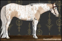Horse Color:Chocolate Palomino Pearl Tobiano Frame  and Chocolate Palomino Pearl Splash Tobiano Frame 