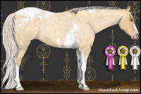 Horse Color:Gray Silver Amber Cream Champagne Roan Dun Splash Tobiano Frame Appaloosa Rabicano 