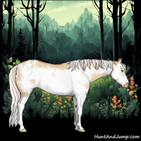Horse Color:Silver Classic Champagne Dun Splash Frame Appaloosa 