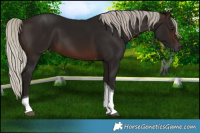 Horse Color:Gray Silver Brown Tobiano 
