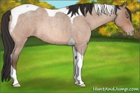 Horse Color:Sable Champagne Roan Tobiano 