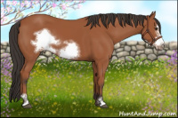Horse Color:Brown Sabino Frame 