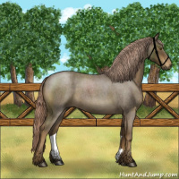 Horse Color:Chocolate Palomino Roan Rabicano