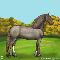 Horse Color:Chocolate Palomino Roan Rabicano 
