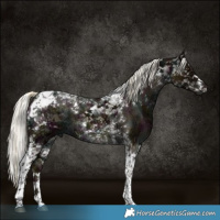 Horse Color:Gray White Spotted Midnight Liver Red Dun Ice Mushroom Splash Tobiano Brindle  and Gray White Spotted Midnight Liver Red Dun Ice Mushroom Splash Tobiano Brindle 