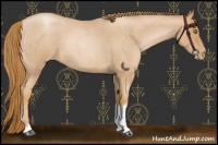 Horse Color:Red Roan Pearl Tobiano Frame