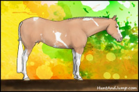 Horse Color:White Spotted Silver Classic Champagne Tobiano 