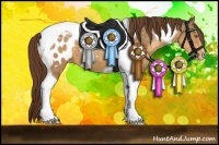 Horse Color:Sable Cream Champagne Tobiano Appaloosa