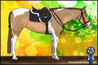 Horse Color:Sable Cream Champagne Tobiano Appaloosa 