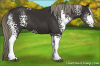 Horse Color:White Spotted Liver Chestnut Mushroom 