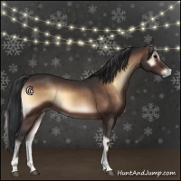 Horse Color:Brown Onyx 
