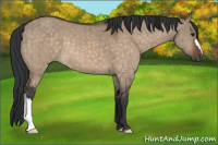 Horse Color:Brown Dun Brindle 