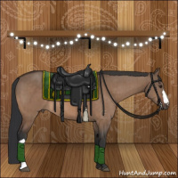 Horse Color:Bay Dun Brindle 