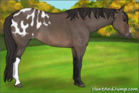 Horse Color:Brown Dun Blanket Brindle 