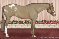 Horse Color:Chocolate Palomino Dun Mushroom Varnish Brindle 