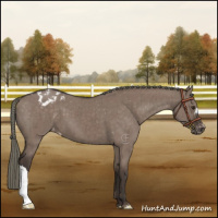 Horse Color:Liver Red Dun Mushroom Varnish Brindle 
