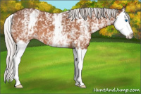 Horse Color:White Spotted Silver Bay Roan Splash 