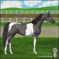 Horse Color:Grullo Tobiano