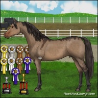 Horse Color:Liver Red Dun 